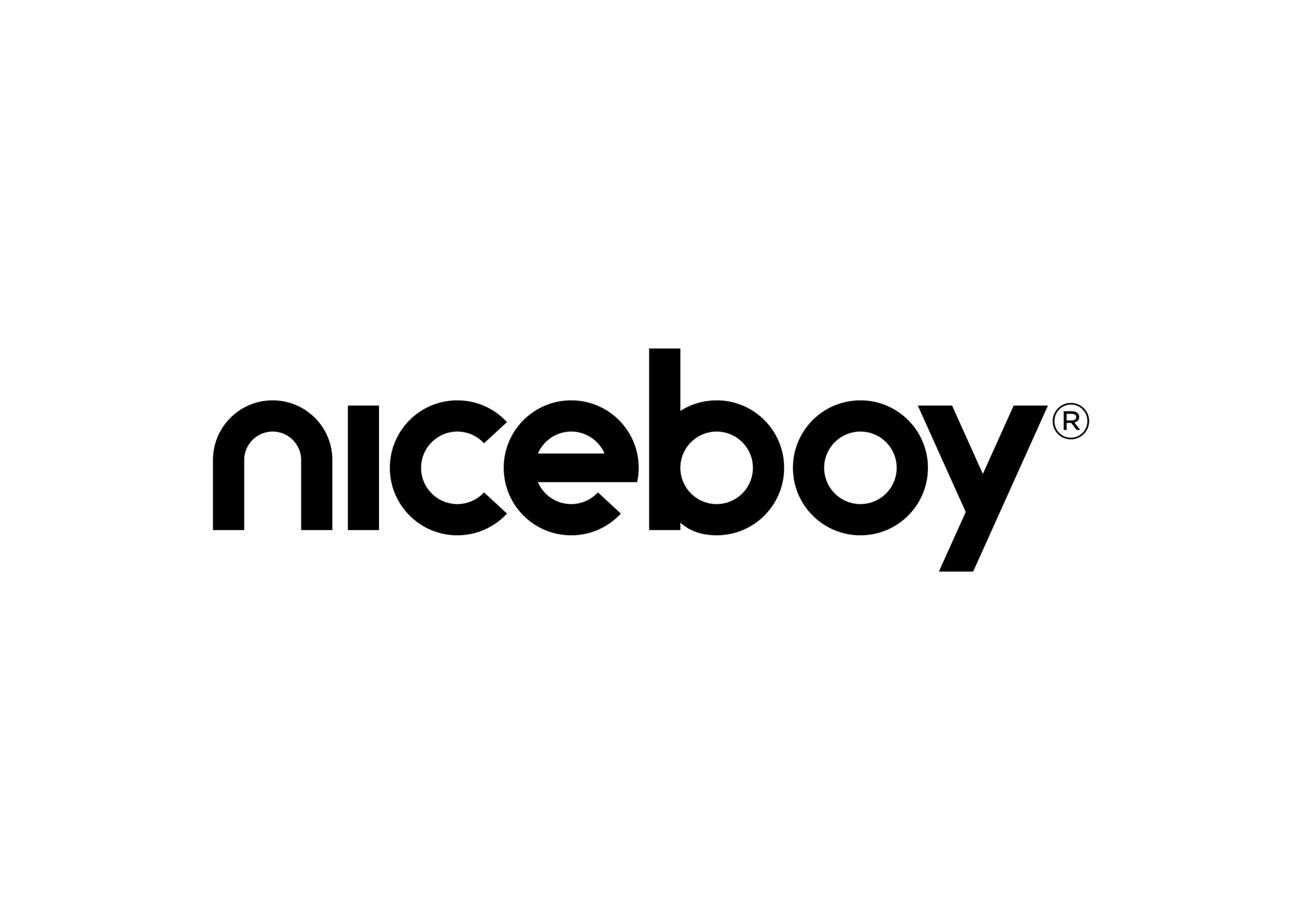 Niceboy logo